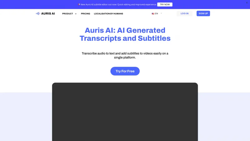 Homepage of aurisai