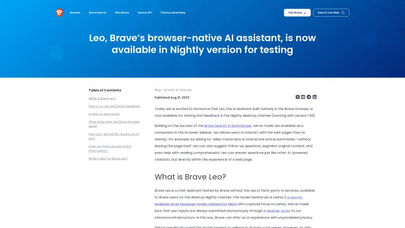 Homepage of brave