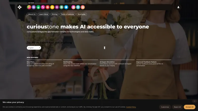 Homepage of curioustone