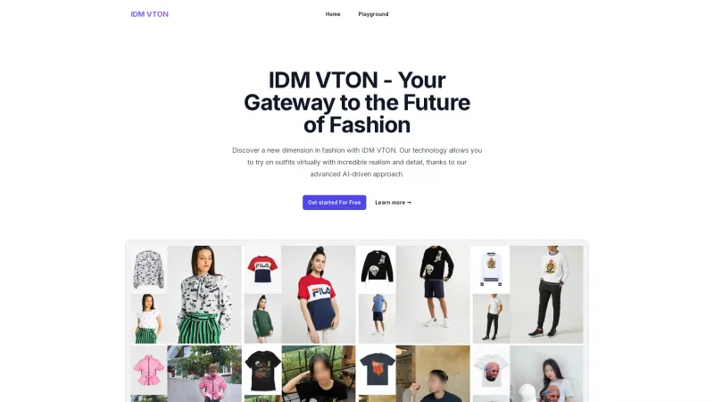 Homepage of idmvton