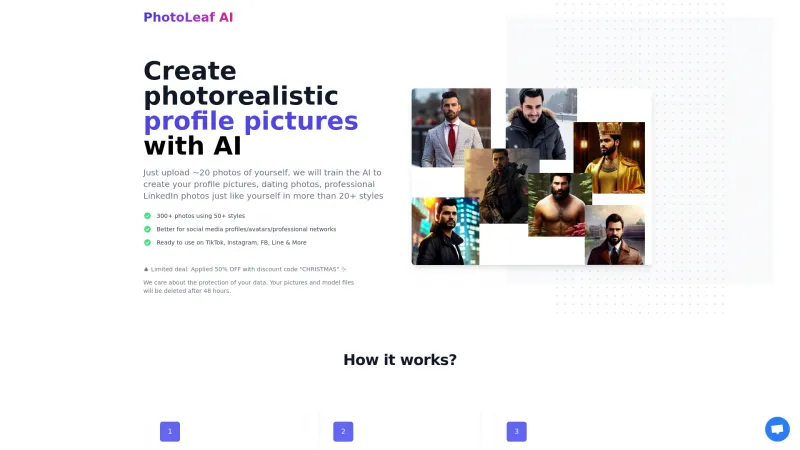 Homepage of photoleaf