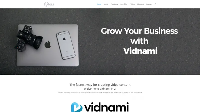 Homepage of vidnamipro