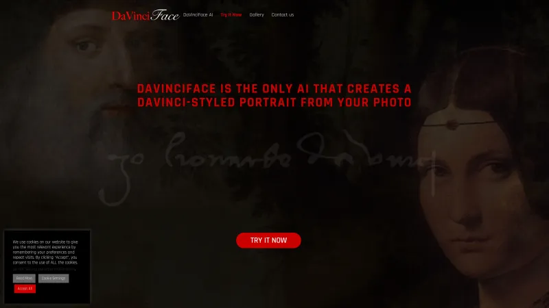 Homepage of davinciface