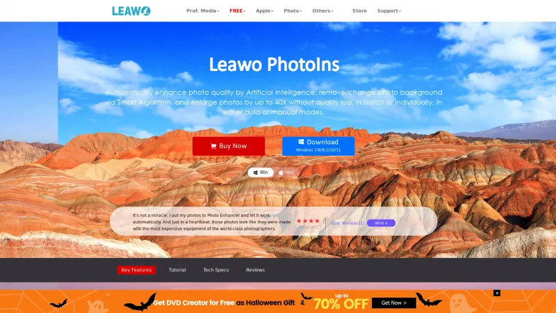 Homepage of leawo