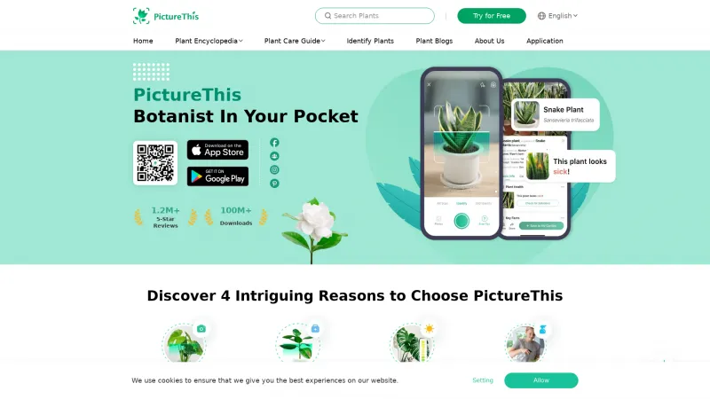 Homepage of picturethisai