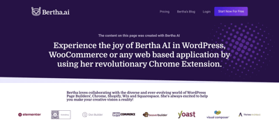 Screenshot main page Bertha.ai