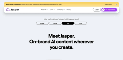 Screenshot main page Jasper