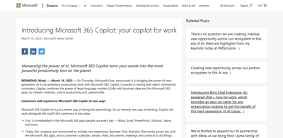 Screenshot Microsoft 365 Co-pilot